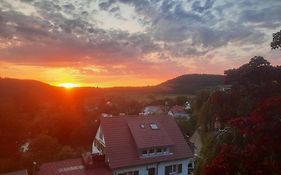 Fernblick